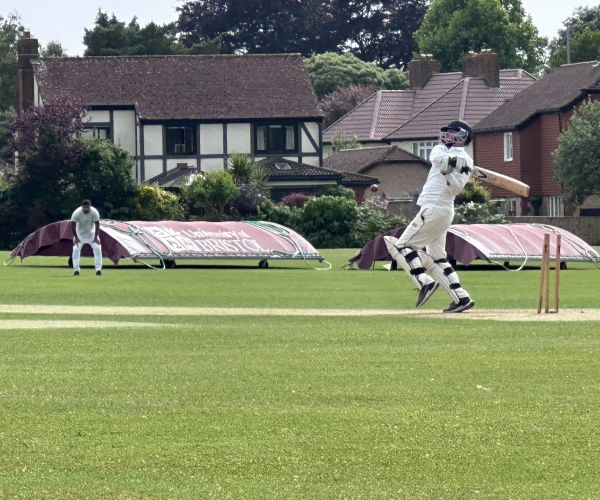 Excellent turnout for annual BPAA cricket and netball tournaments