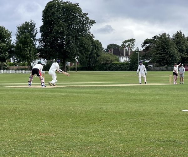 Excellent turnout for annual BPAA cricket and netball tournaments