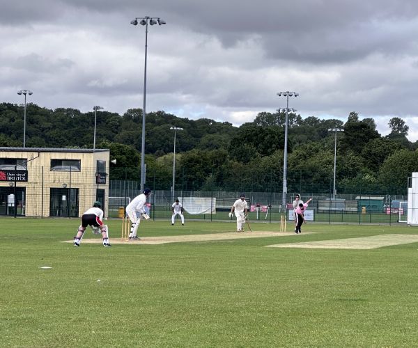 Excellent turnout for annual BPAA cricket and netball tournaments